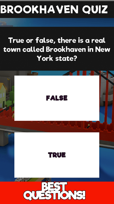 Brookhaven Trivia Quizのおすすめ画像2