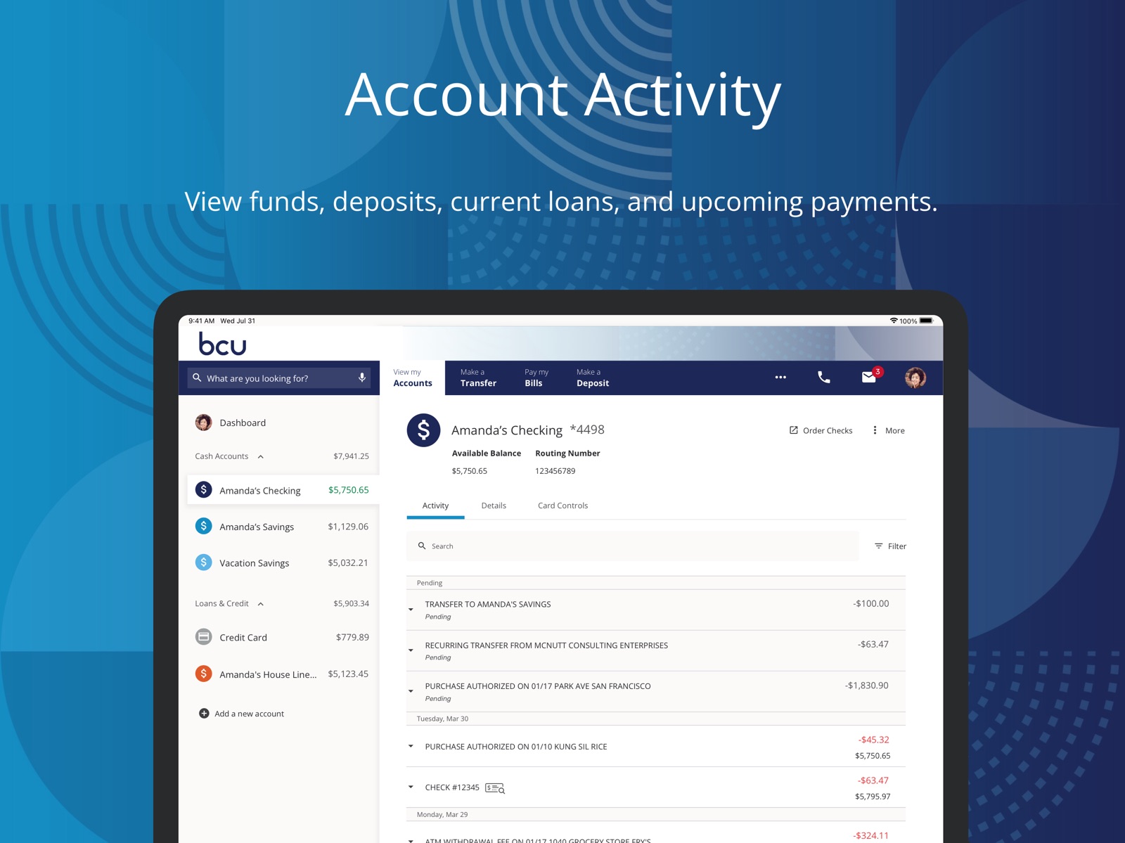 BCU Mobile Banking ipad screenshot 4