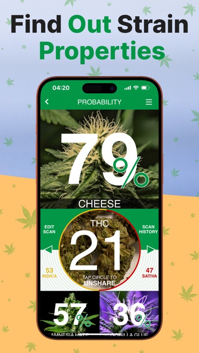 Weed Identifier App: Kush Scan Screenshot