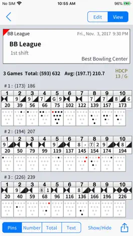 Game screenshot Best Bowling LT apk