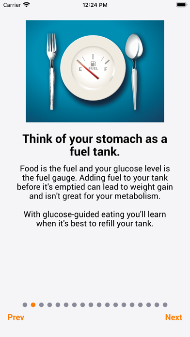 Glucose Guided Eating Screenshot