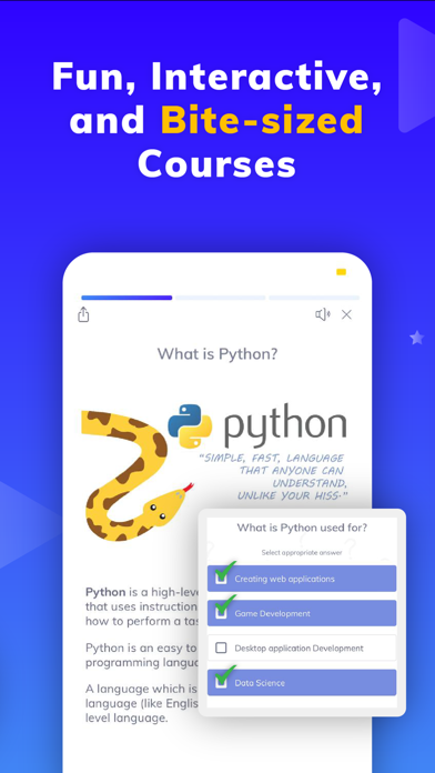 Programming Hub: Learn Coding Screenshot