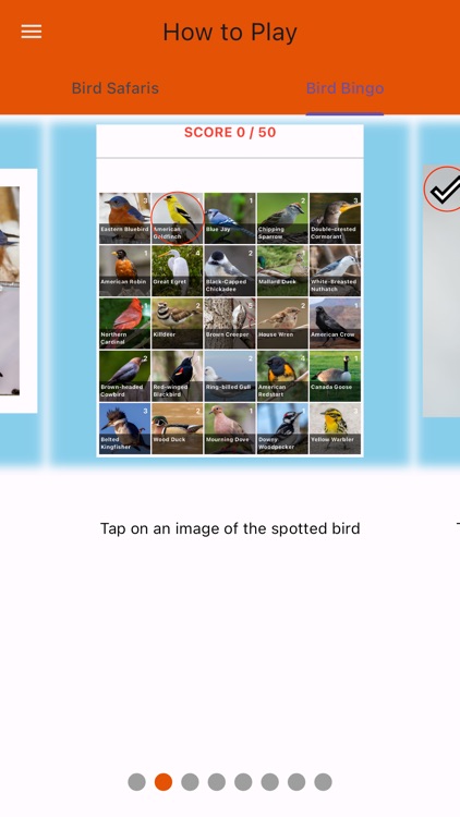 BirdBingo&BirdWatching Safaris screenshot-4