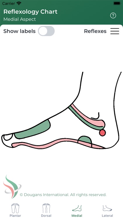 Reflexology Chart screenshot-7
