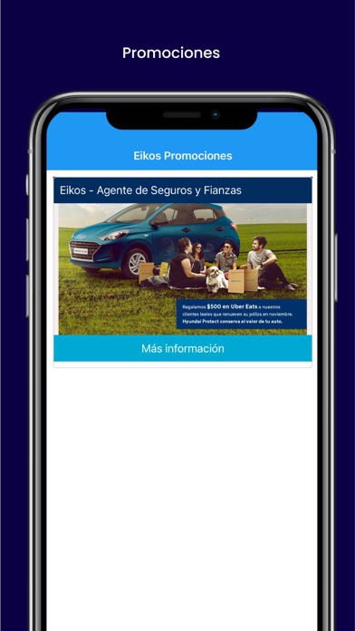Hyundai Protect Screenshot