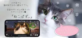 Game screenshot Nekopuzz-JigsawPuzzle Of Cats- mod apk