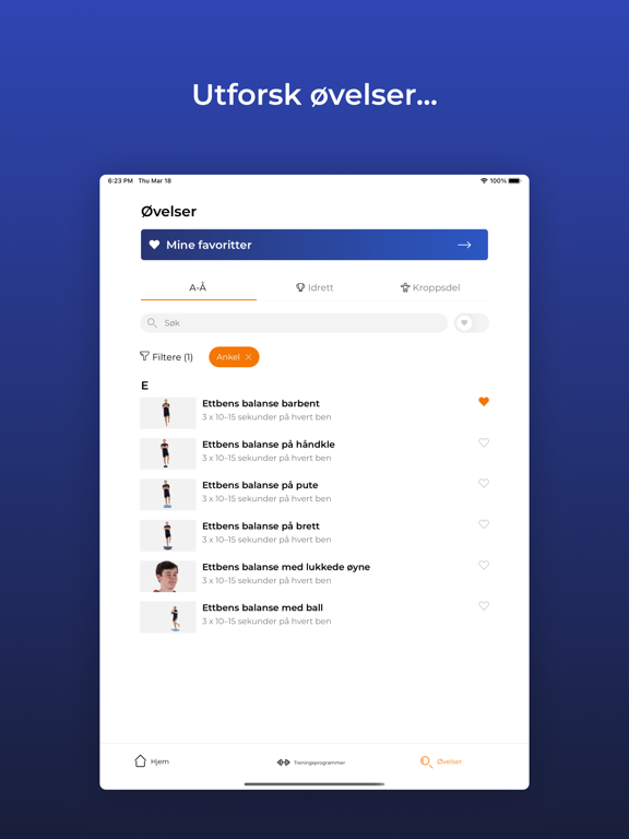 Screenshot #6 pour Skadefri