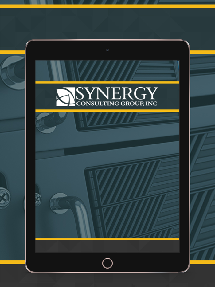 Synergy Consulting Group