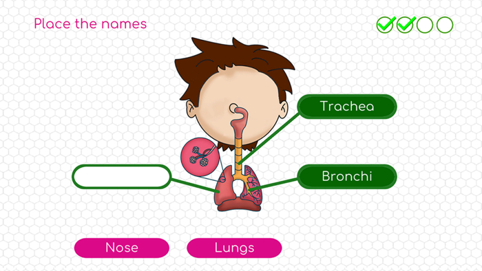 Human Body Adventure Game