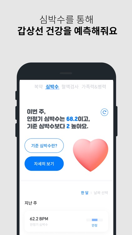 글랜디(New)