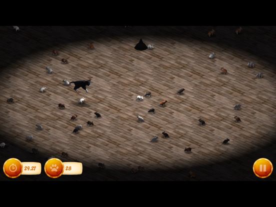 Scaredy Cat : Face Your Fears iPad screenshot