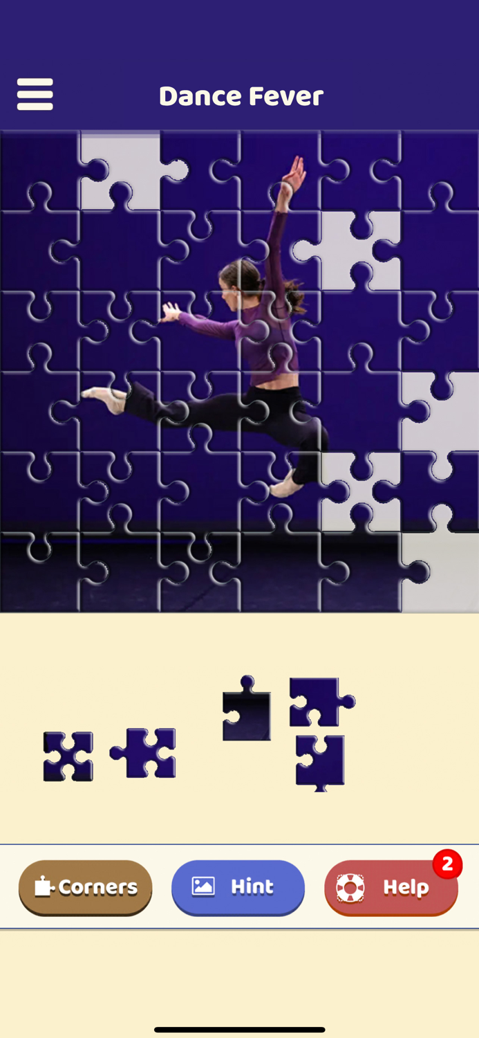 Dance Fever Puzzle