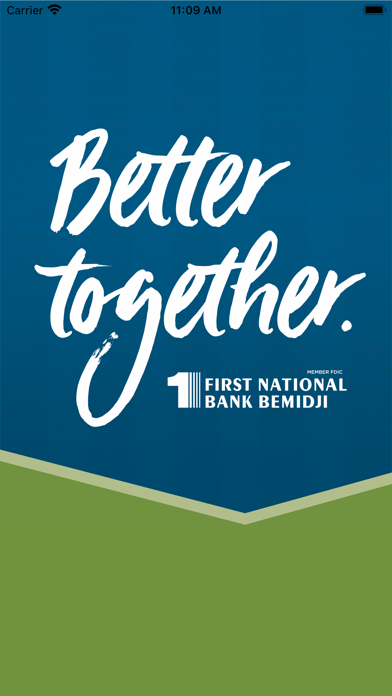 First National Bank Bemidji Screenshot