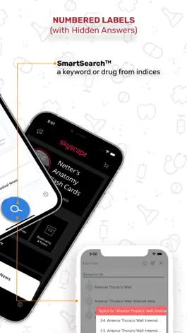Game screenshot Netters Anatomy Flash Cards apk