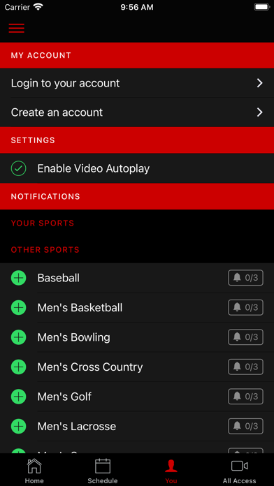 Lewis Flyers Screenshot