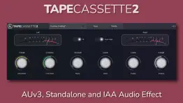 tape cassette 2 problems & solutions and troubleshooting guide - 1