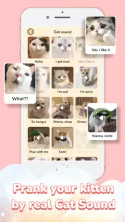 cat simulator super stylist iphone screenshot 2