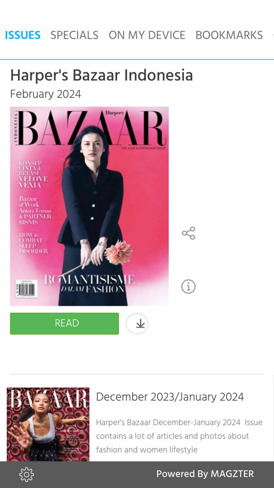 Harper's Bazaar Indonesia Mag - 8.4.13 - (iOS)