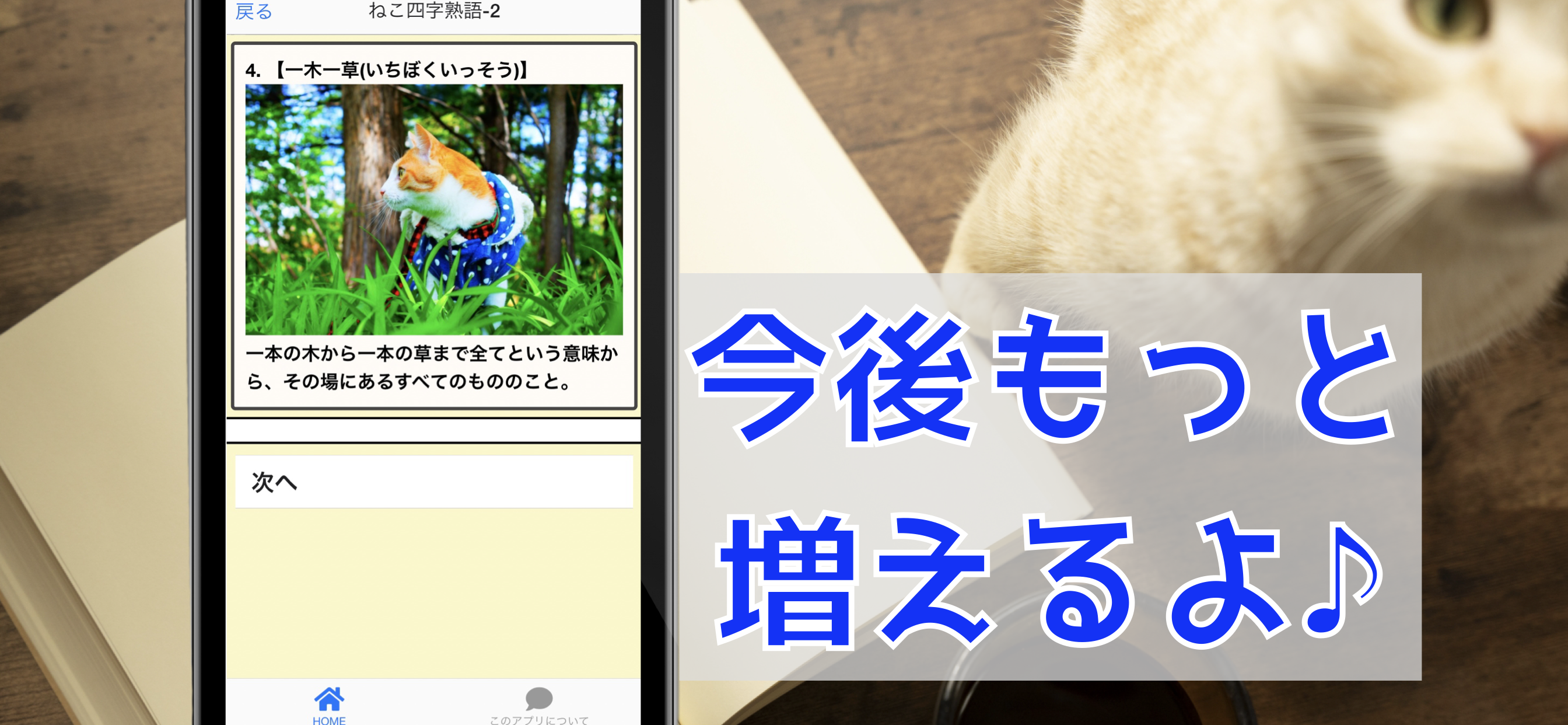 ねこの四字熟語 猫写真 猫図鑑