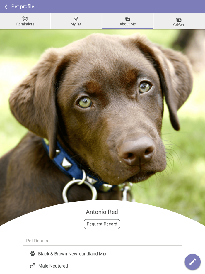 North Kingstown Animal Hosp