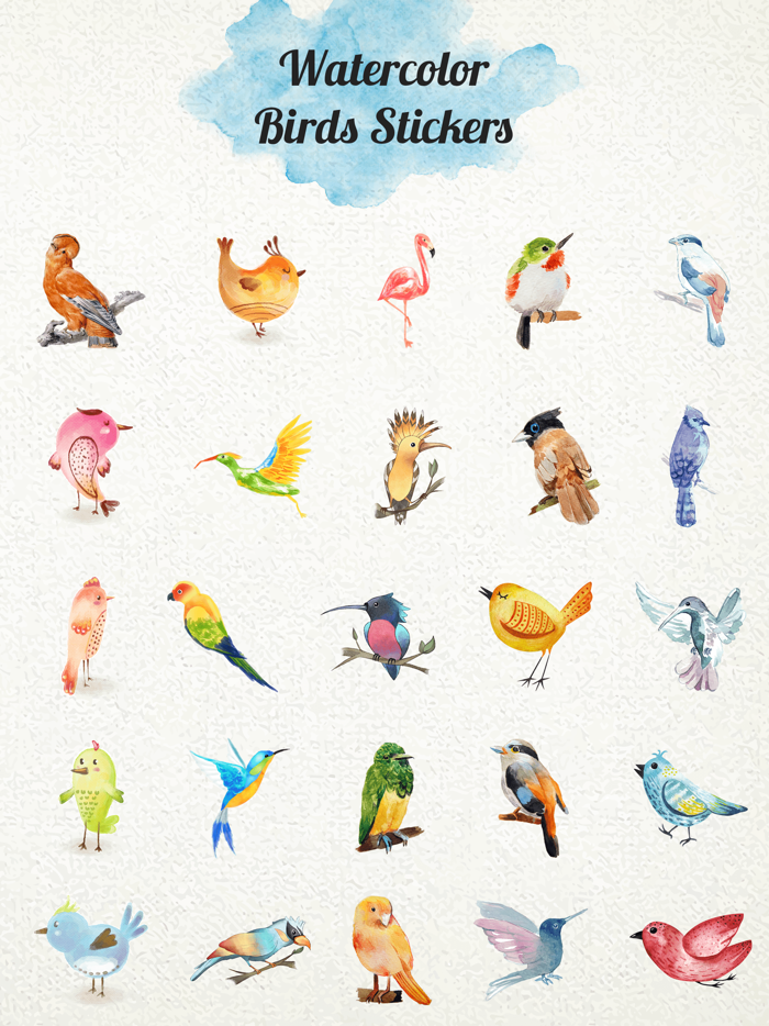 Watercolor Cute Birds Stickers
