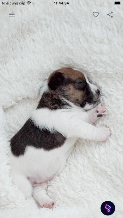 Calm Video - Comfort and Care Screenshot