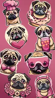 pugz problems & solutions and troubleshooting guide - 3