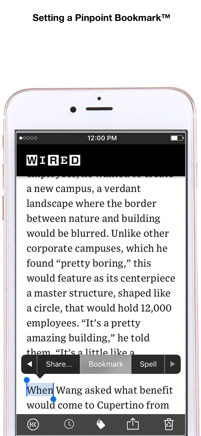 Pinpoint Bookmarking