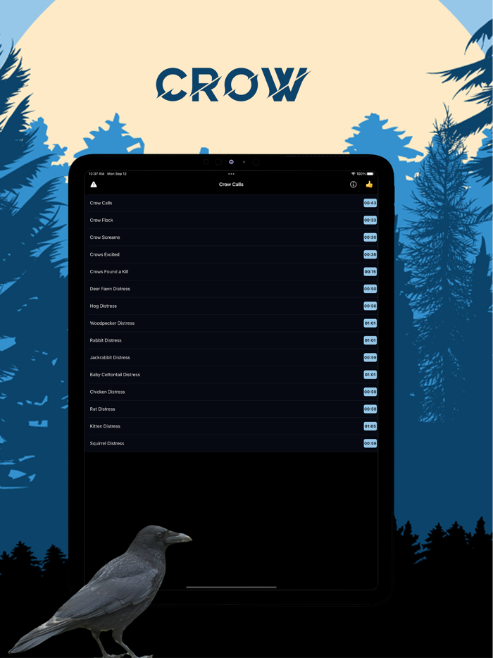 Crow Magnet - Crow Sounds