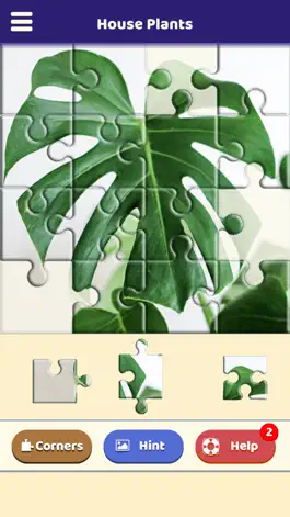 Game screenshot House Plants Puzzle apk