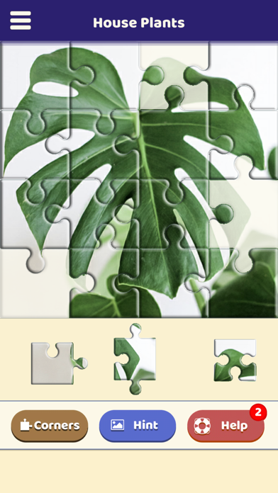 House Plants Puzzle Screenshot