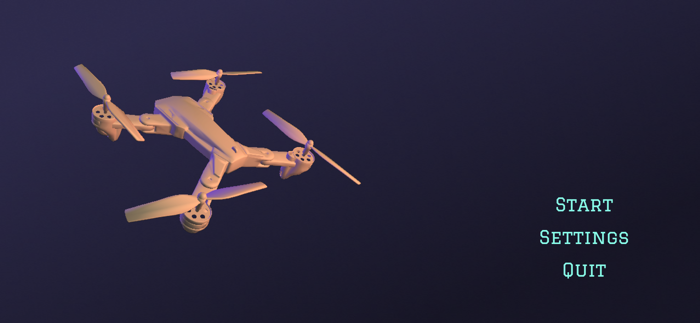 Drone Flight Simulation