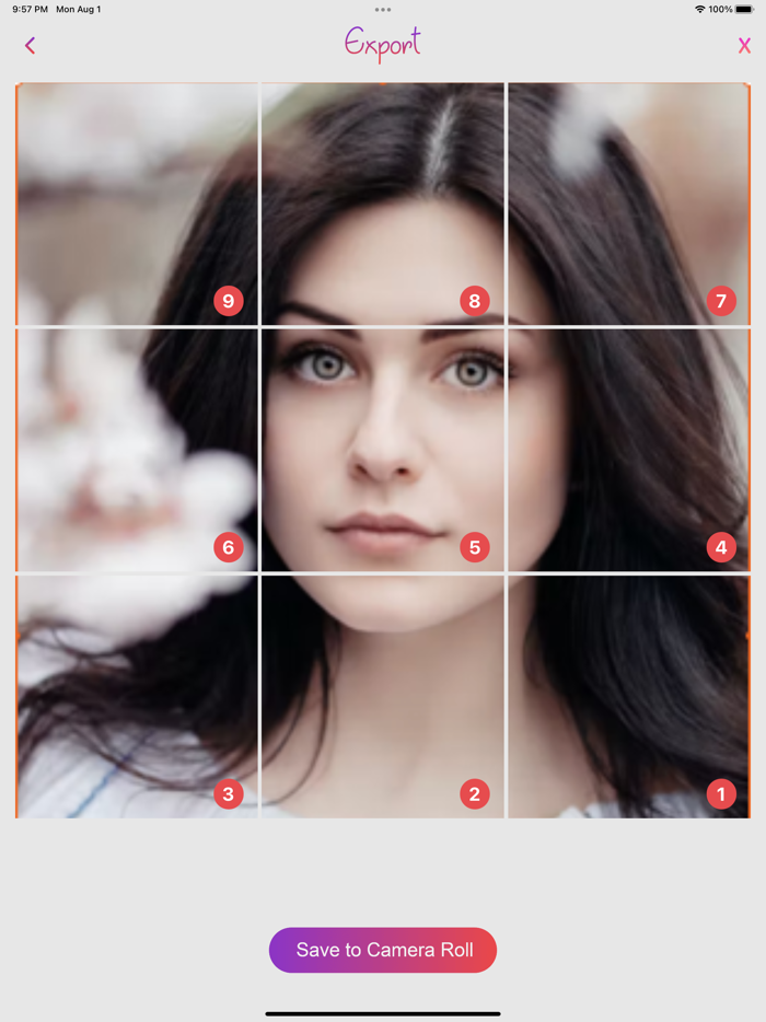 Gridding and Dripping Effects