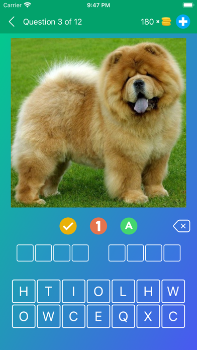 Dog Breeds Quiz: Guess the Pet Screenshot