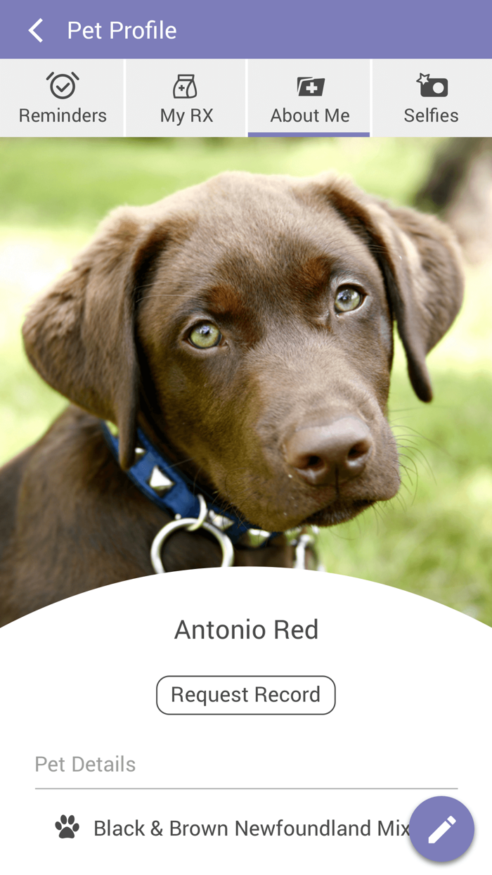 North Kingstown Animal Hosp