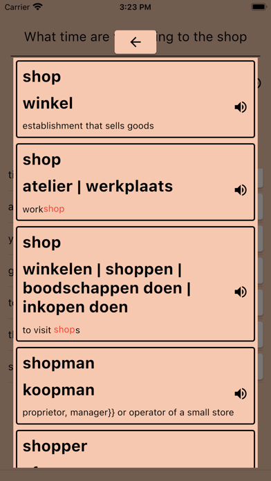 AI Dutch Dictionary Screenshot