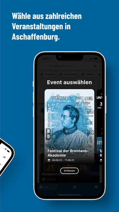 FestivalAB Screenshot