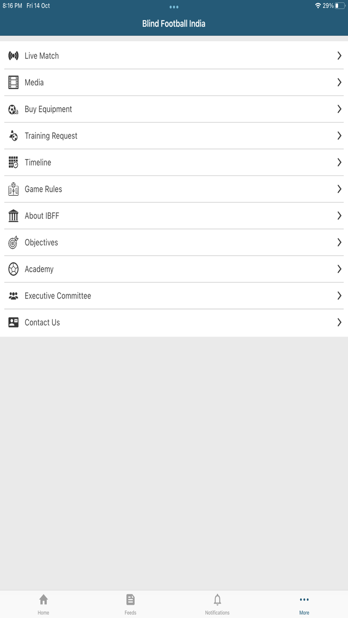 Blind Football India