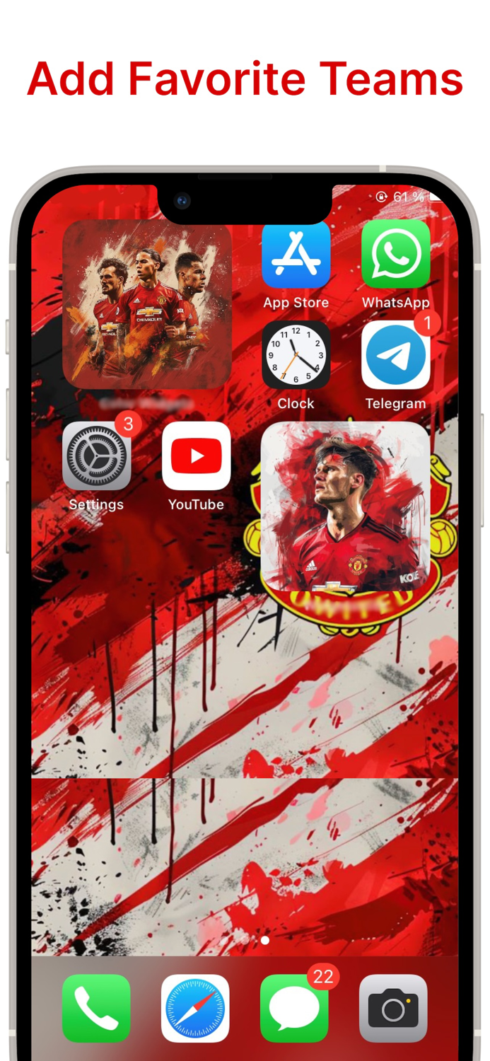 Photo Widget Color Picture