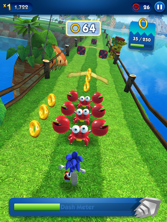 Screenshot #1 for Sonic Dash Endless Runner Game