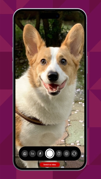 PetCam - Perfect Pet Portraits Screenshot