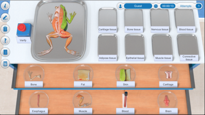 CloudLabs Animal Tissues Screenshot