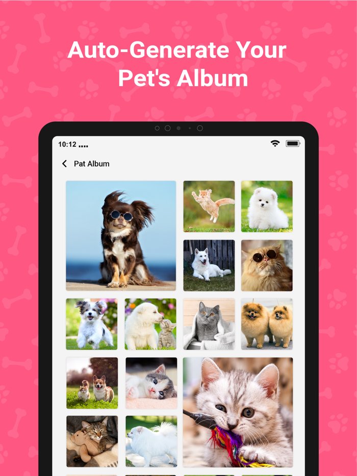 Cat and Dog Translator - Dogify