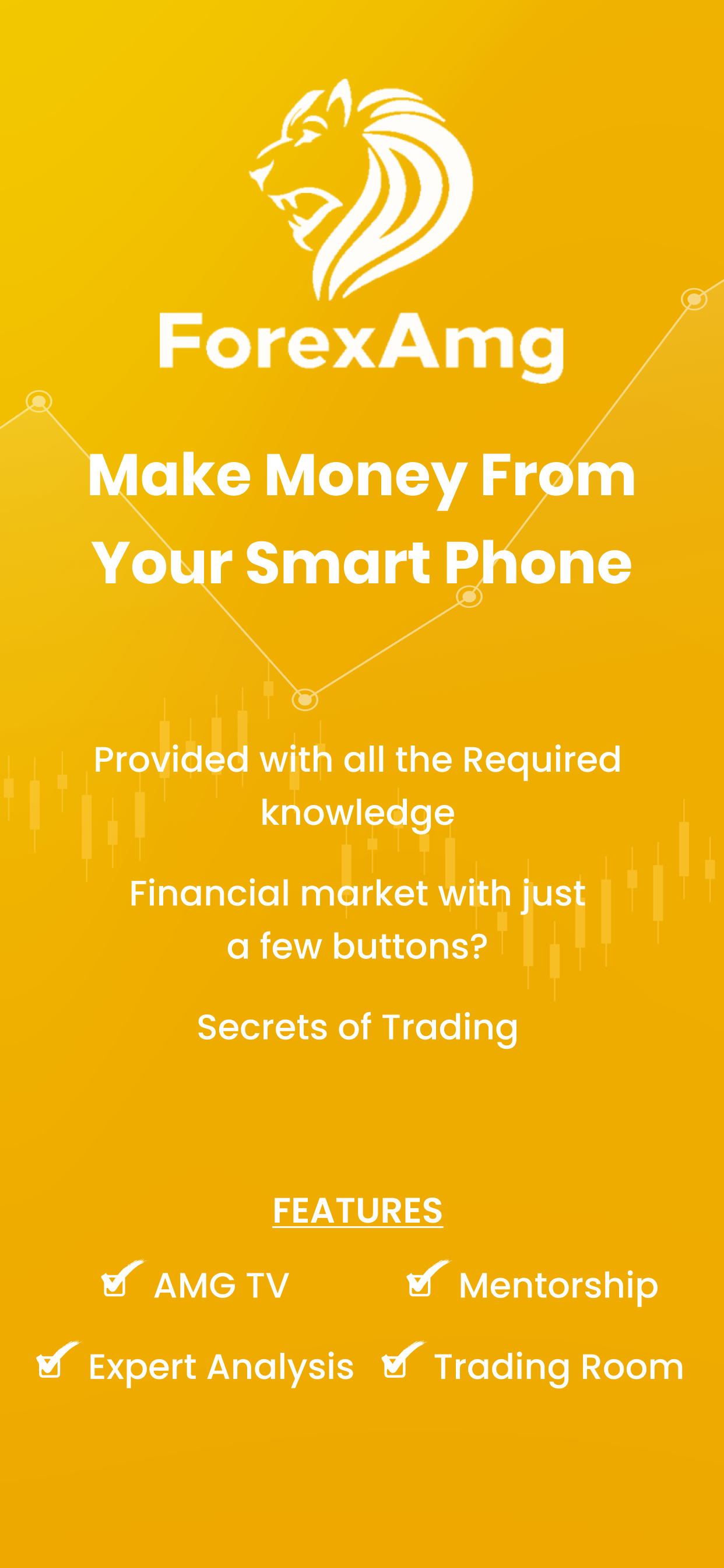 ForexAMG