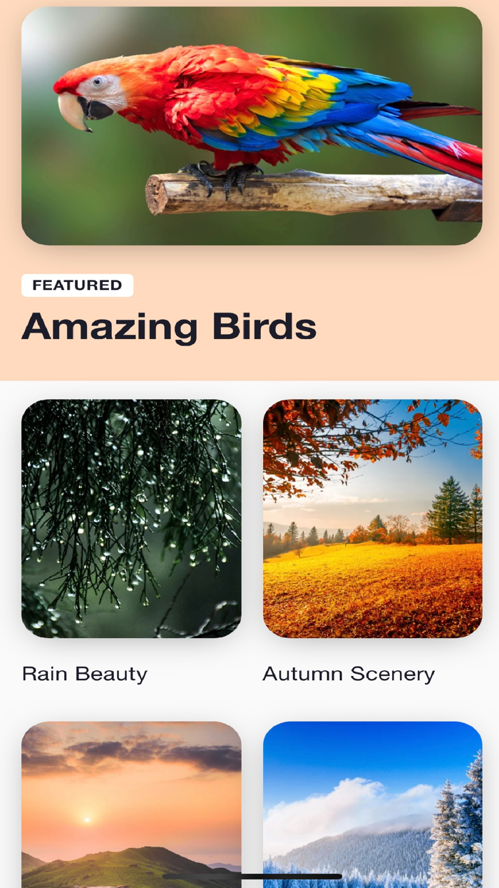 Nature Sounds - Calm  Relax