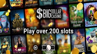 Big Dollar Online Casino Screenshot