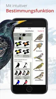 vogelführer birdlife schweiz problems & solutions and troubleshooting guide - 3