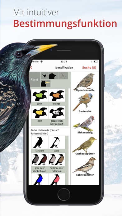 Vogelführer Birdlife Schweiz Screenshot