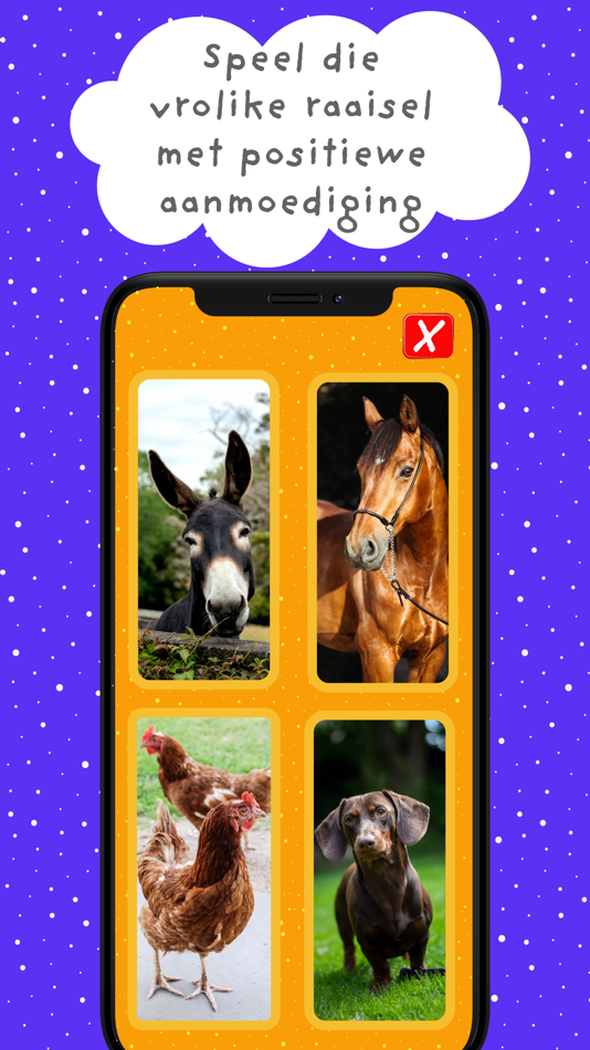 #5. Toddler Flashcards: Afrikaans (iOS) 由: Brandbiz Clothing And Gifts (Pty) Ltd