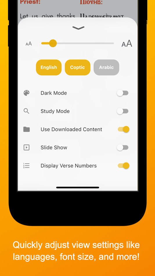 #4. In Spirit and Truth (iOS) 由: Saint Athanasius & Saint Cyril Coptic Orthodox Theological School